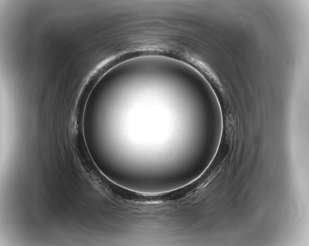 X0000085770628200703161144