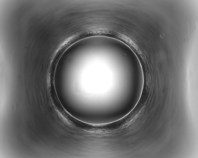 X0000085770629200703161144