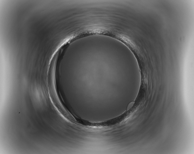 X0000085770630200703161144