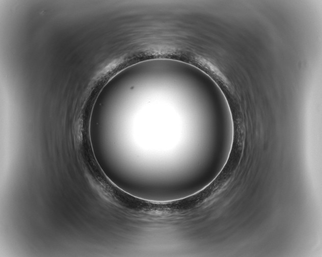 X0000085770631200703161144