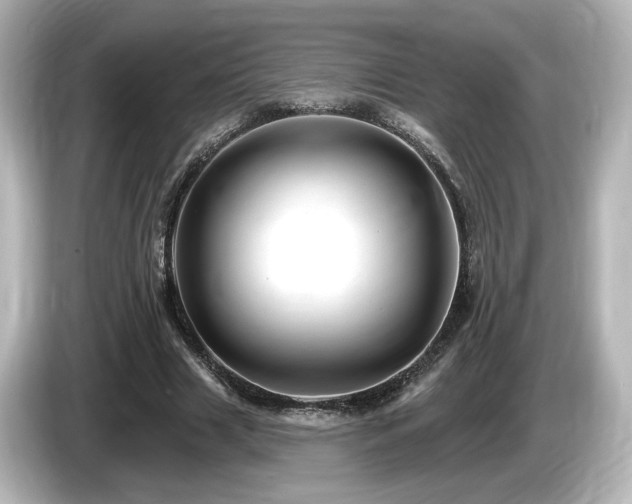 X0000085770633200703161144