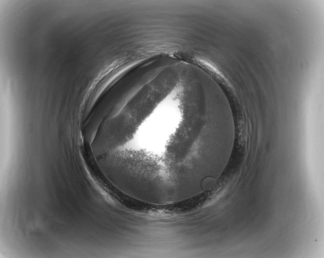 X0000085770634200703161144