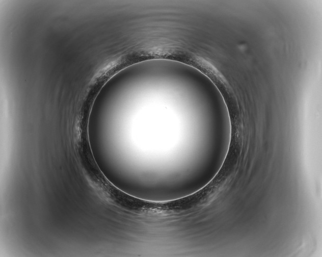 X0000085770635200703161144