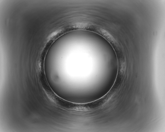 X0000085770636200703161144