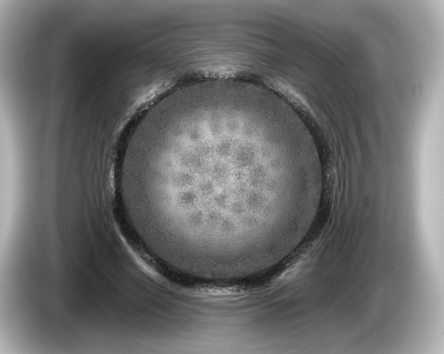 X0000085770638200703161144