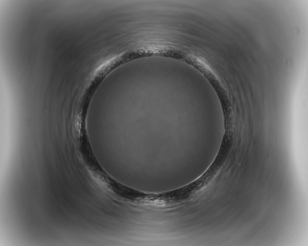 X0000085770640200703161144