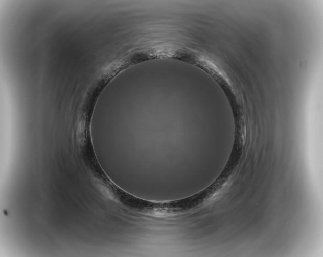 X0000085770641200703161144