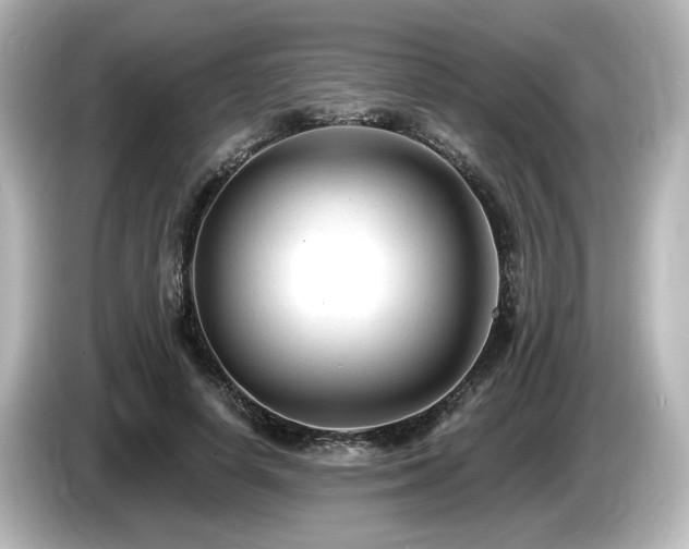 X0000085770642200703161144