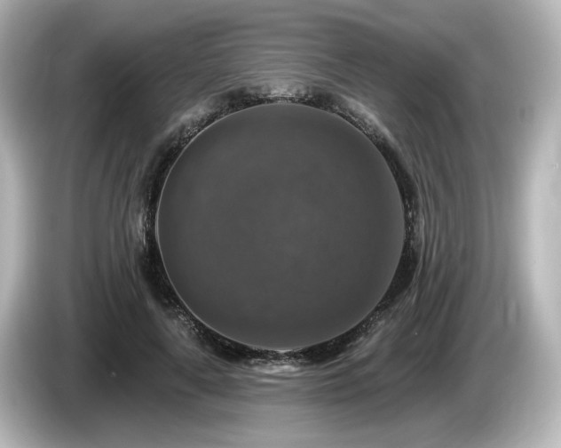 X0000085770643200703161144