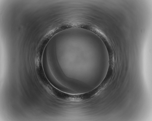 X0000085770644200703161144