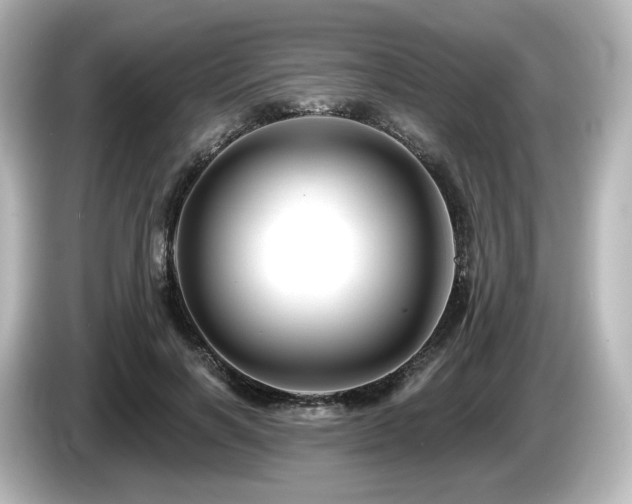 X0000085770646200703161144