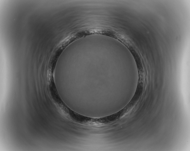 X0000085770648200703161144