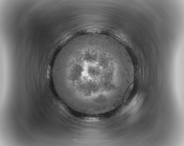 X0000085770649200703161144