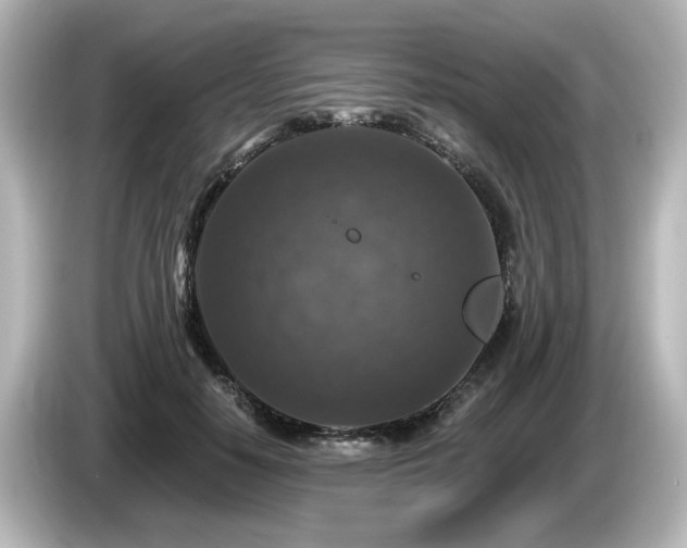 X0000085770650200703161144