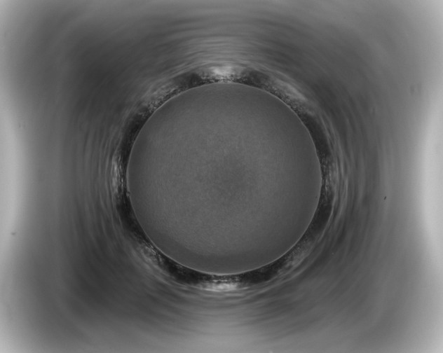 X0000085770651200703161144