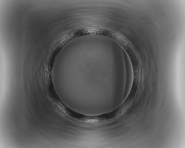 X0000085770653200703161144