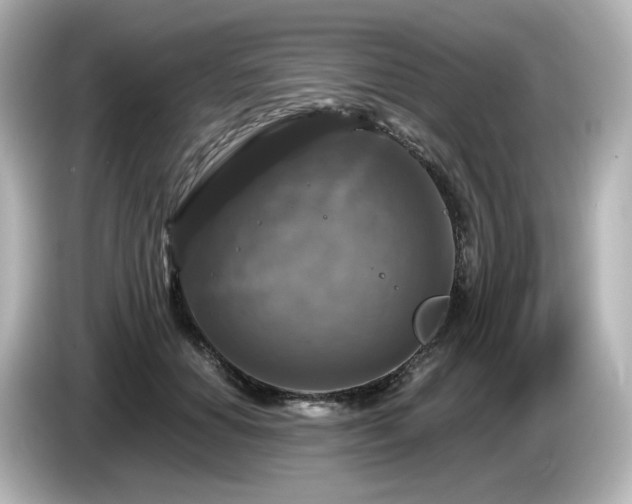 X0000085770654200703161144