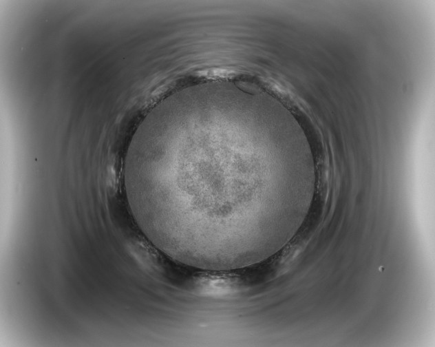 X0000085770655200703161144