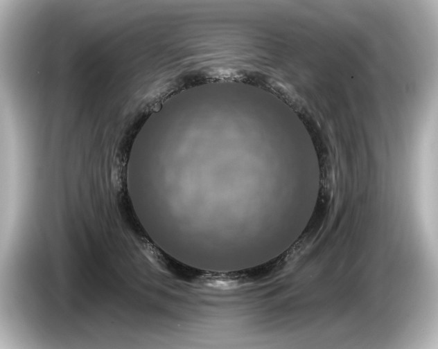 X0000085770658200703161144