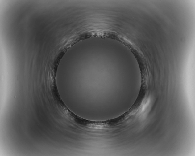 X0000085770661200703161144