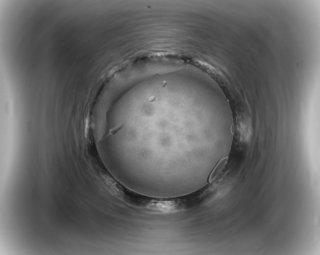 X0000085770665200703161144