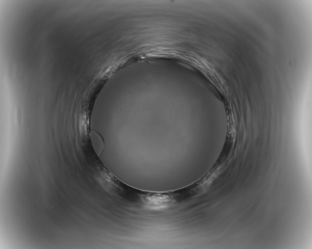 X0000085770669200703161144