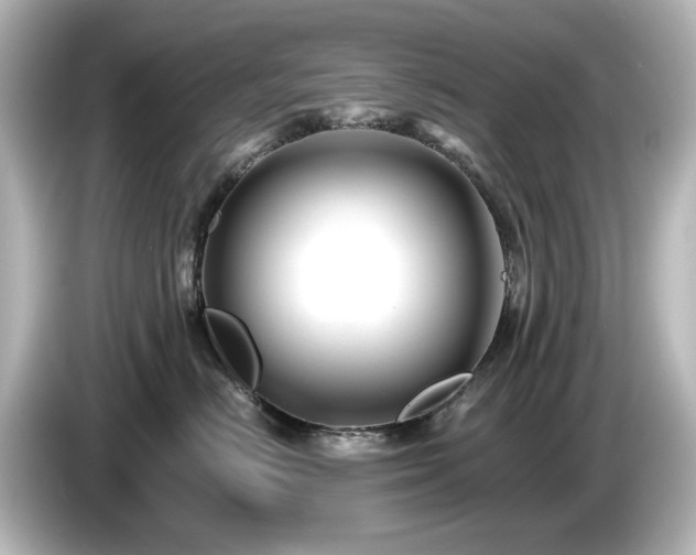 X0000085770670200703161144