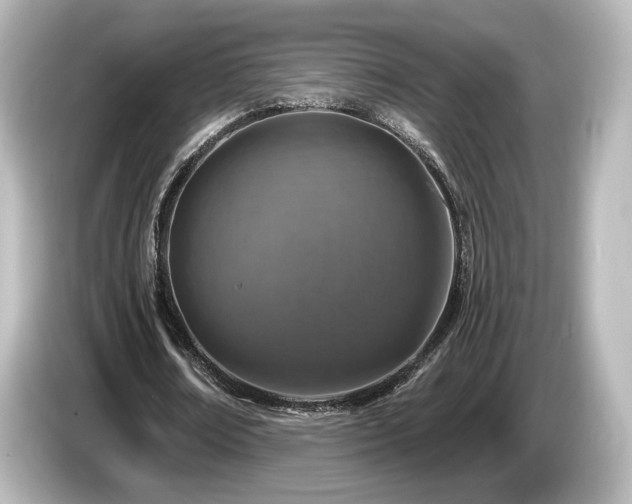 X0000085770674200703161143