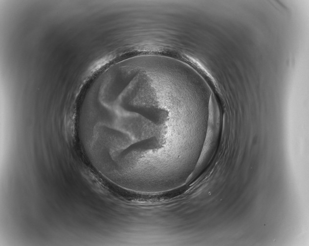 X0000085770675200703161143