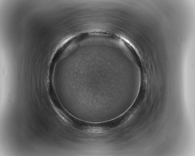 X0000085770677200703161143