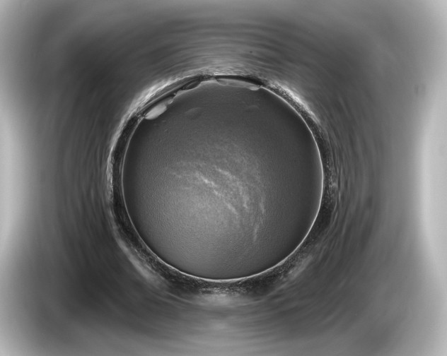 X0000085770678200703161143