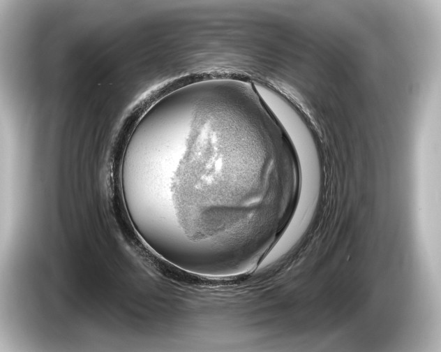 X0000085770680200703161143