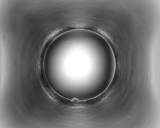 X0000085770682200703161143