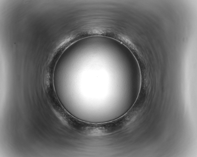 X0000085770683200703161143