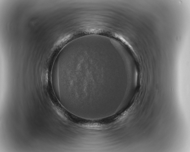 X0000085770685200703161143