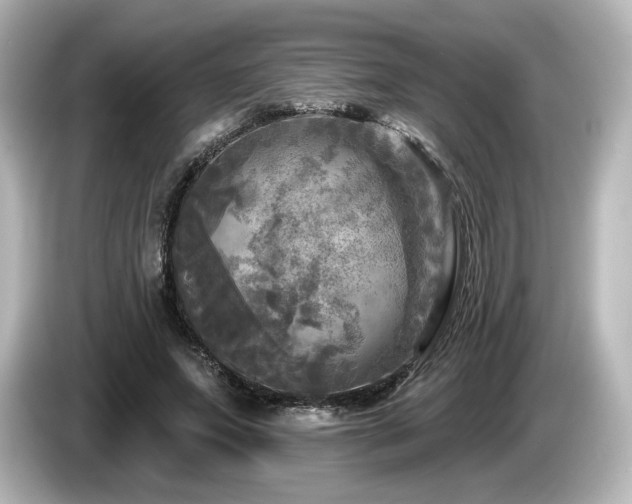 X0000085770687200703161143