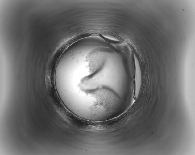 X0000085770688200703161143