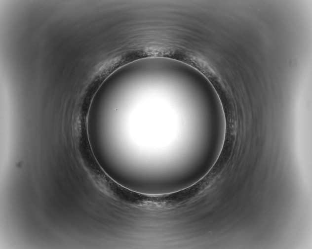 X0000085770690200703161143