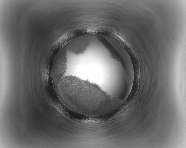 X0000085770691200703161143