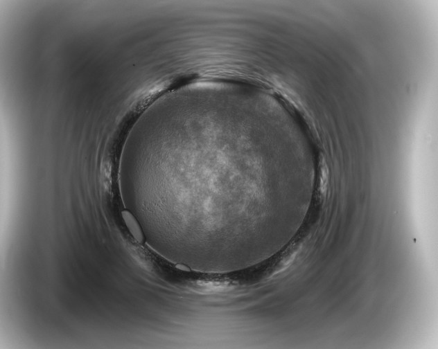 X0000085770693200703161143