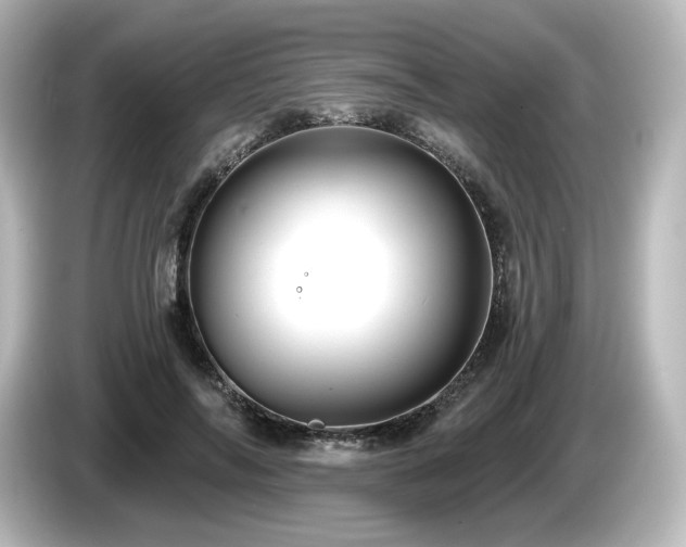 X0000085770694200703161143