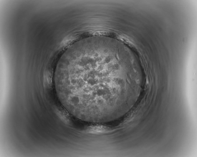 X0000085770695200703161143