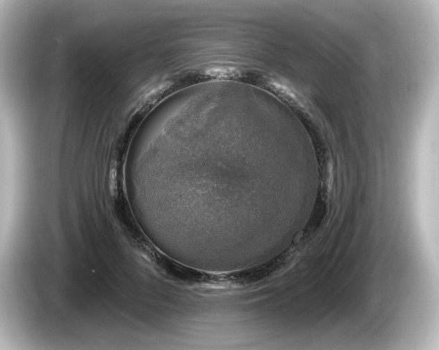 X0000085770696200703161143