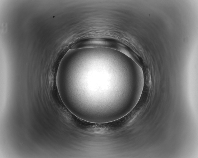 X0000085770697200703161143