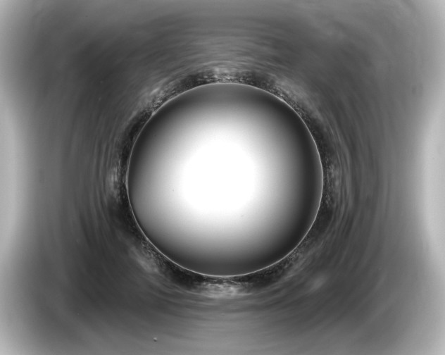 X0000085770698200703161143