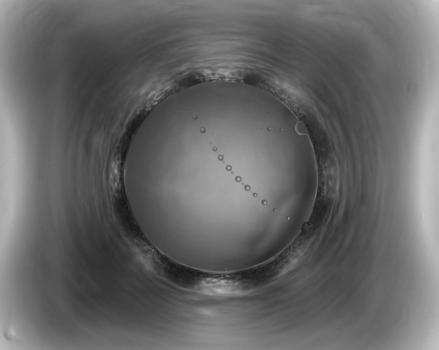 X0000085770699200703161143