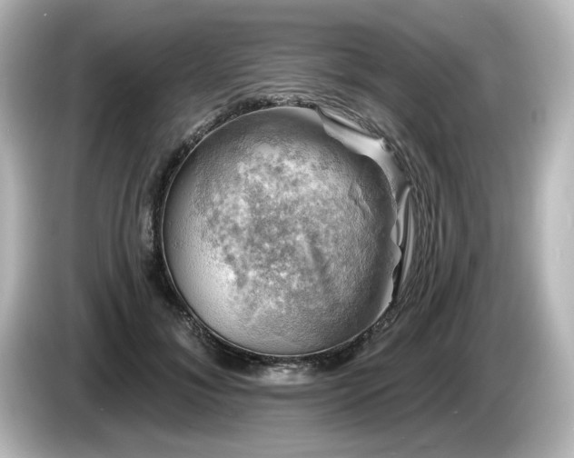 X0000085770700200703161143