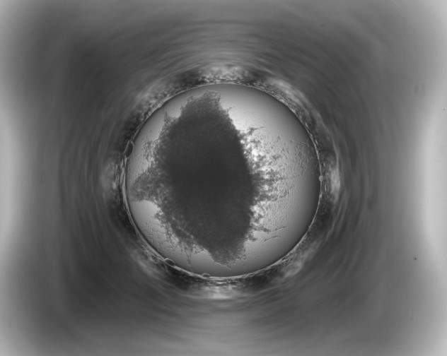 X0000085770701200703161143