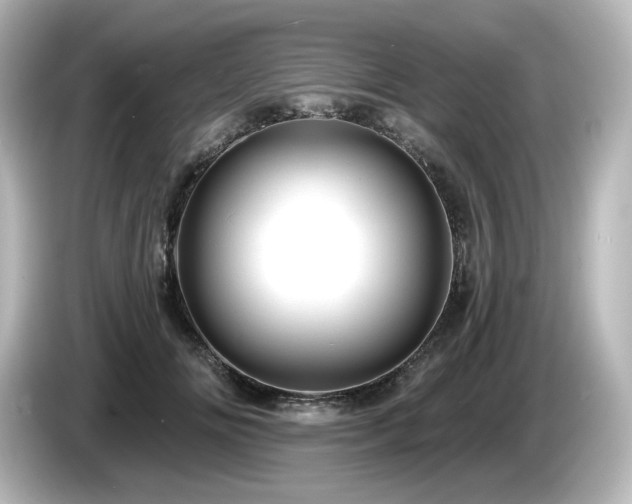 X0000085770702200703161143