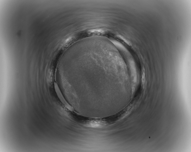 X0000085770708200703161143